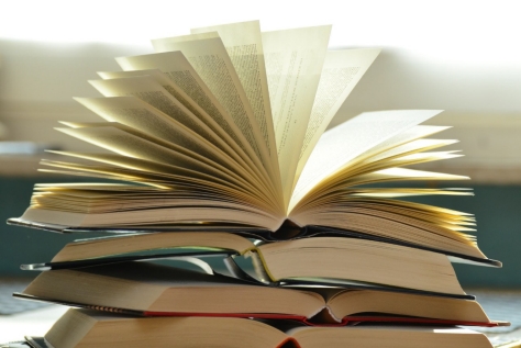 Fachliteratur Abrechnungsbetrug & Korruption im Gesundheitswesen